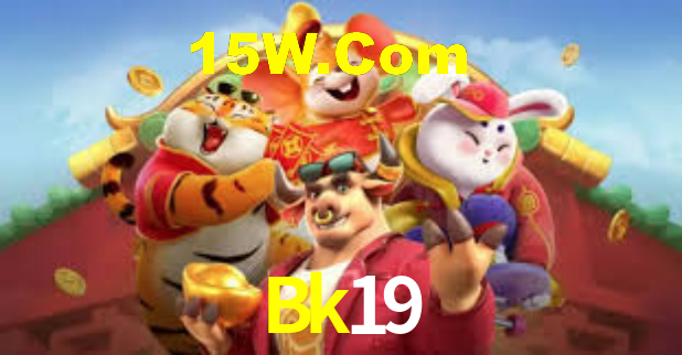 Segurança e privacidade no APP Bk19